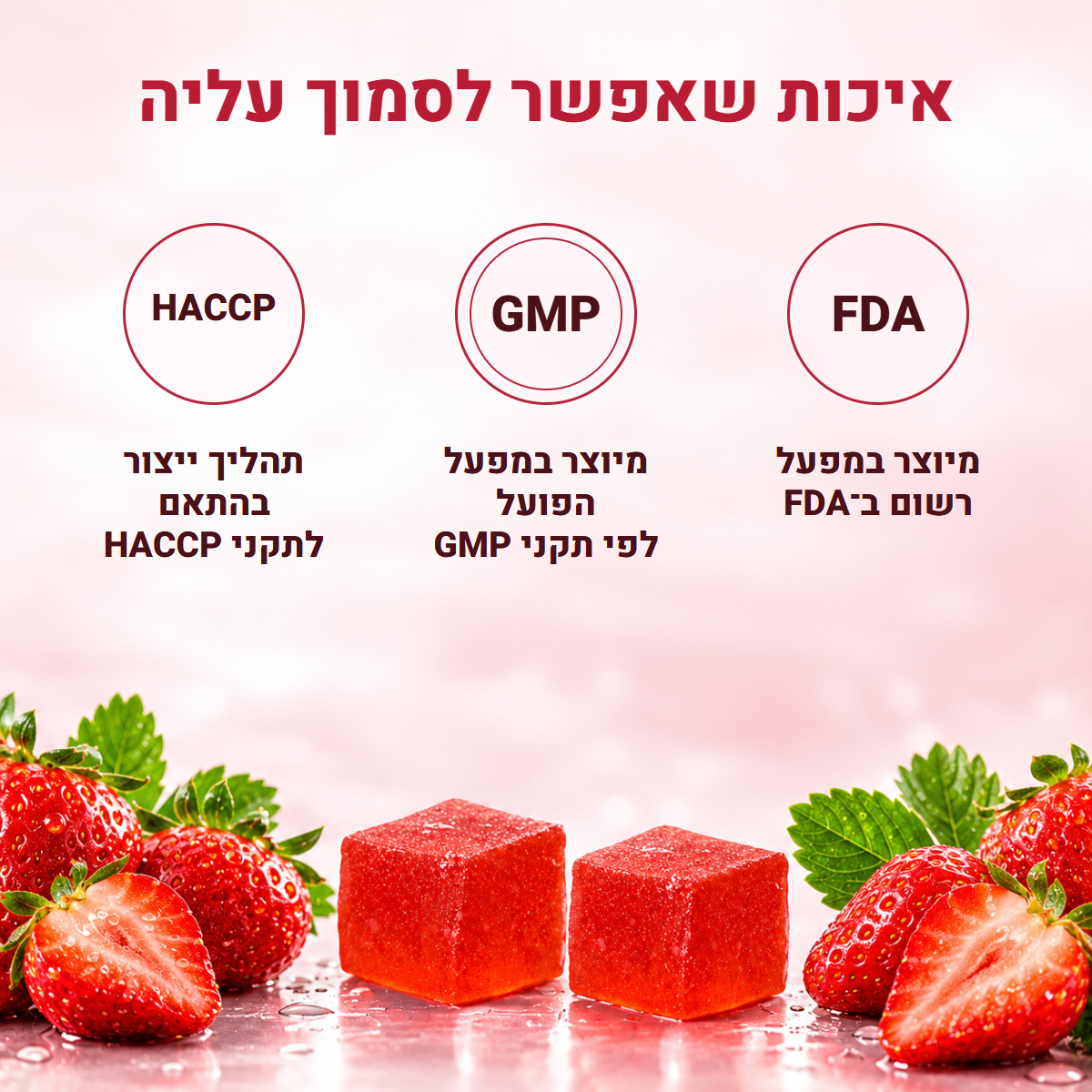 PROTEIN+ גומי חלבון GUMMIX — תמונה 7